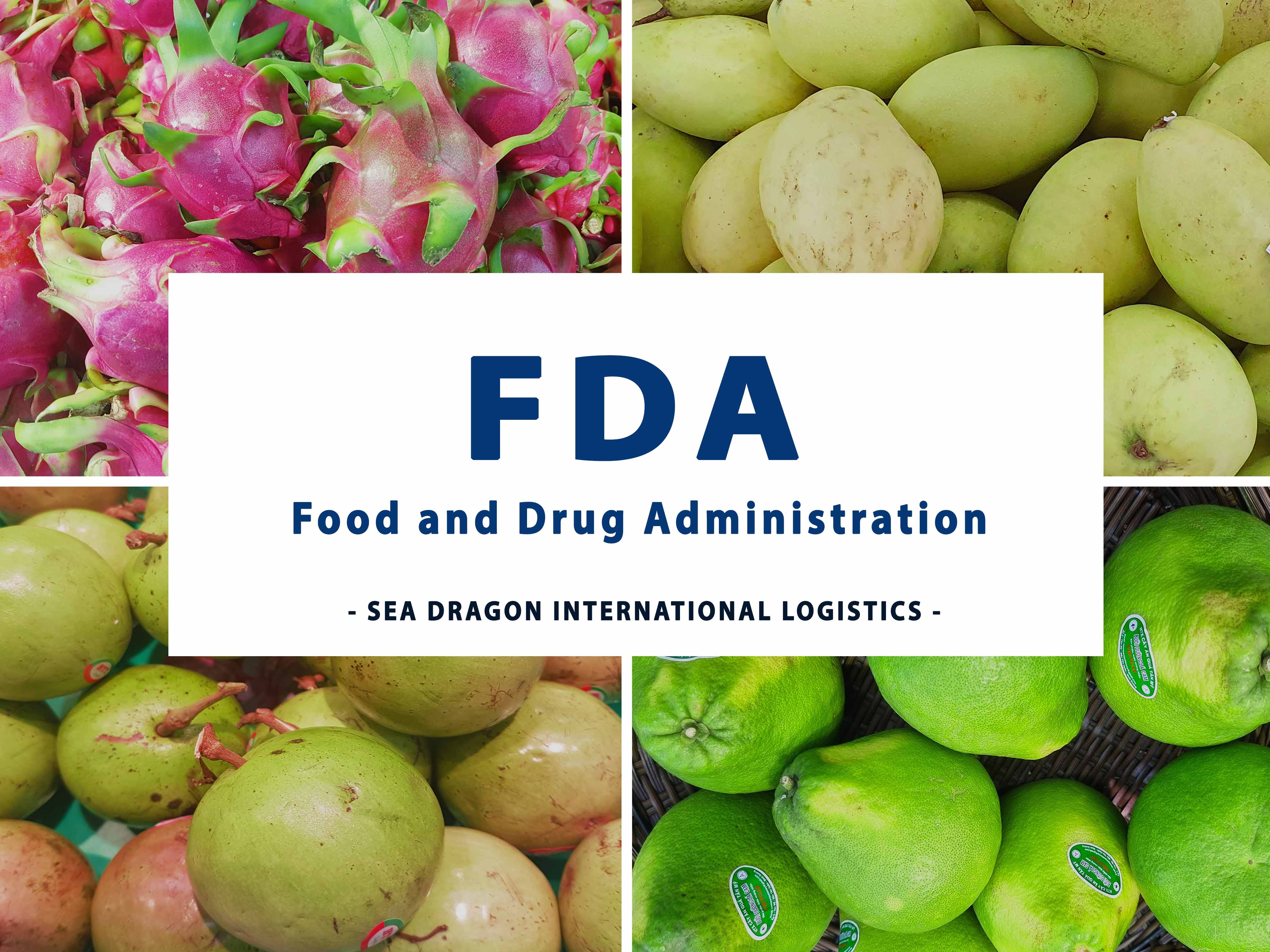 Đăng Ký FDA Thực Phẩm Xuất Khẩu Mỹ | Tránh Giữ Hàng – Đúng Chuẩn FDA Hoa Kỳ