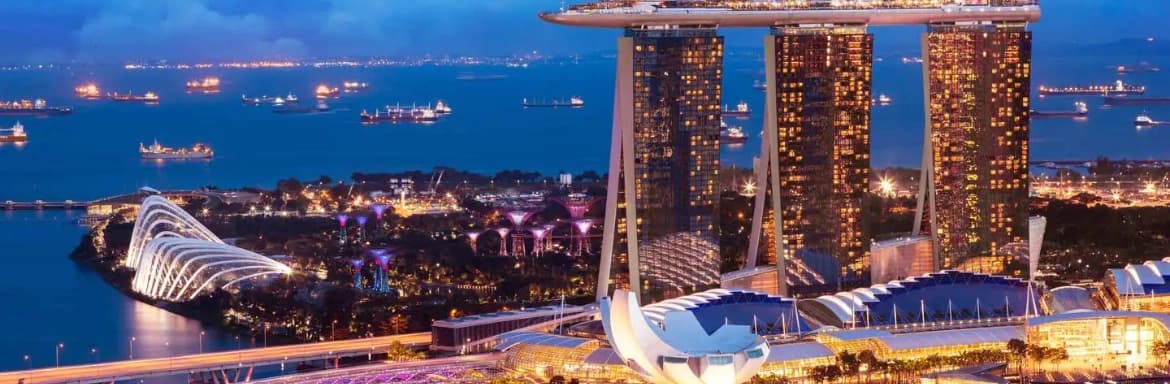 Tư vấn chiến lược thâm nhập thị trường Singapore