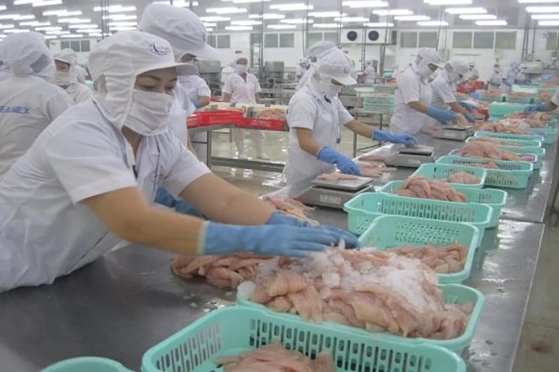 công nhân đang sơ chế thực phẩm trong nhà máy